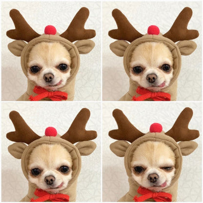 Cute Fruit Dog Clothes For Small Dogs Hoodies